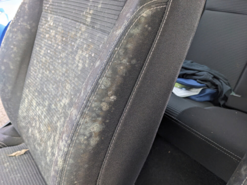 Amv Removing Mould From Car Interior (5)