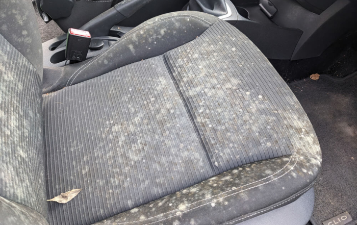 Amv Removing Mould From Car Interior (6)